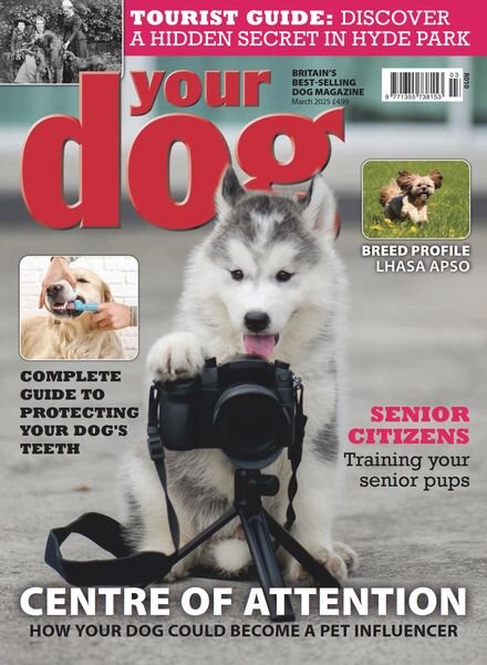 Your Dog – March 2025 Cover