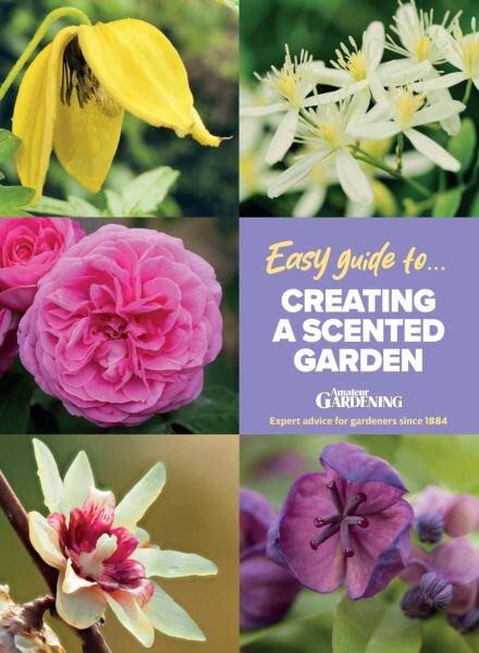 Amateur Gardening Easy Guide – Issue 5 2025 Cover