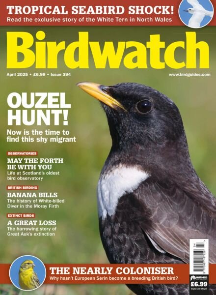 Birdwatch UK – April 2025 Cover