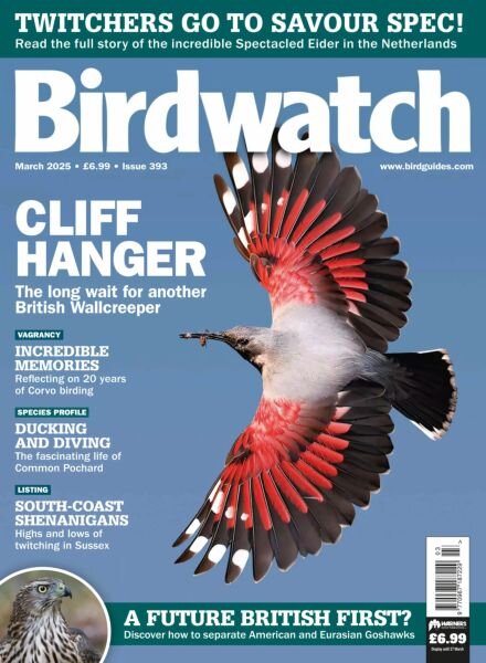 Birdwatch UK – March 2025 Cover