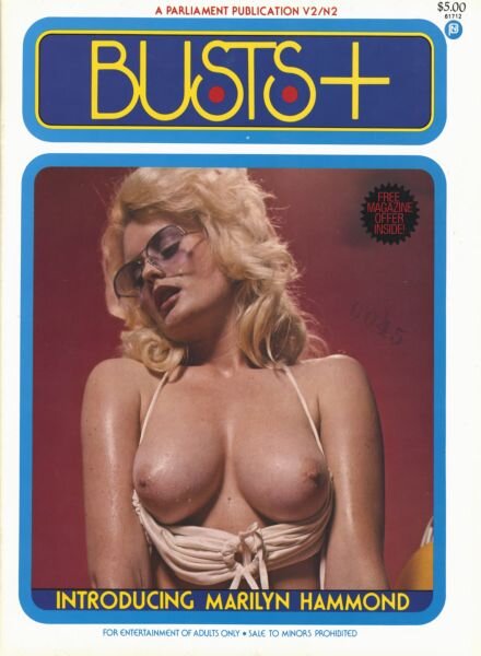 BUSTS+ – Volume 2 Number 2 October-November-December 1979 Cover
