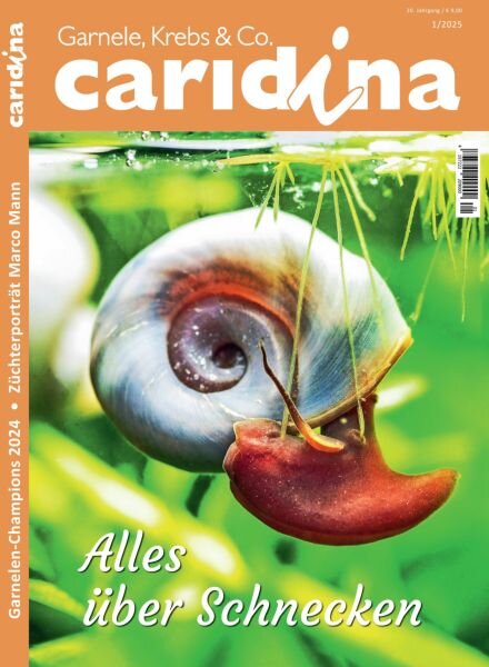 Caridina – 25 Februar 2025 Cover