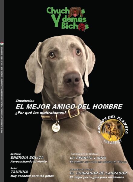 Chuchos y Demas Bichos – Febrero-Marzo 2025 Cover