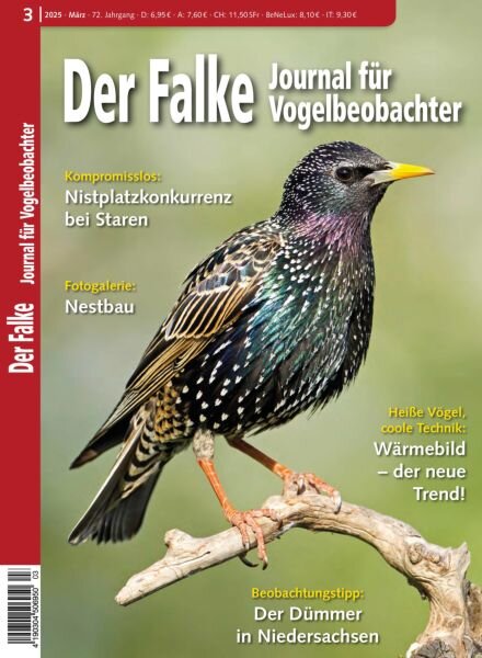 Der Falke Journal fur Vogelbeobachter – Marz 2025 Cover