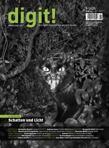 Digit! Germany – Nr 1 2025 Cover