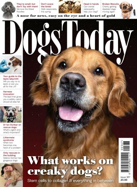 Dogs Today UK – Issue 367 2025 Cover