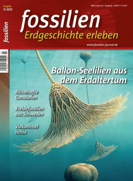 Fossilien – Marz-April 2025 Cover