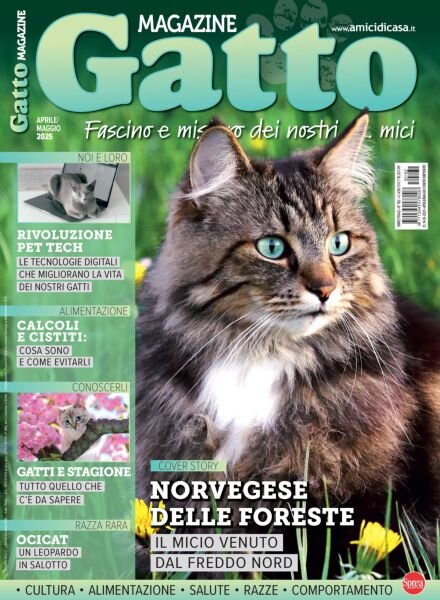 Gatto Magazine – Aprile-Maggio 2025 Cover