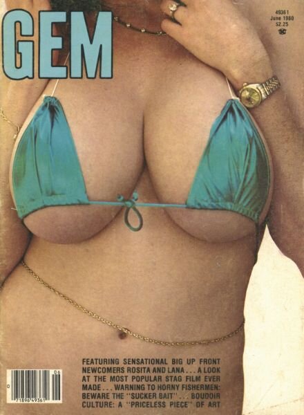 GEM – Vol 21 N 5 June 1980 Cover