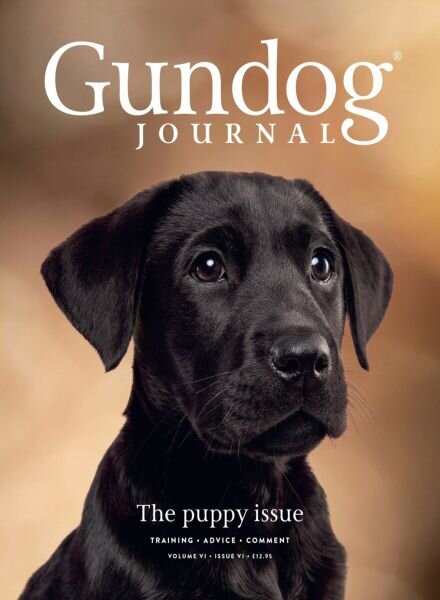 Gundog Journal – Volume VI Issue VI 2025 Cover