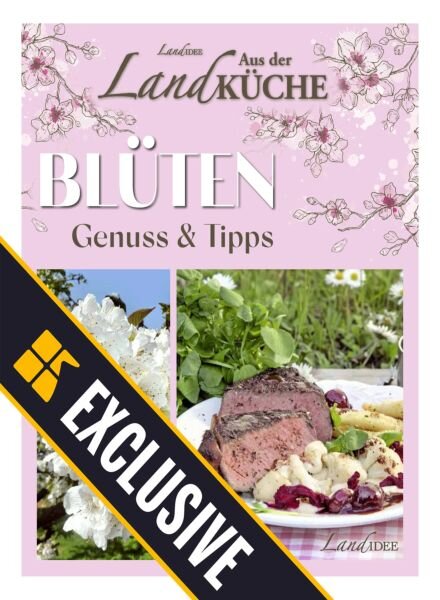 LandIDEE LandKuche – 15 Marz 2025 Cover