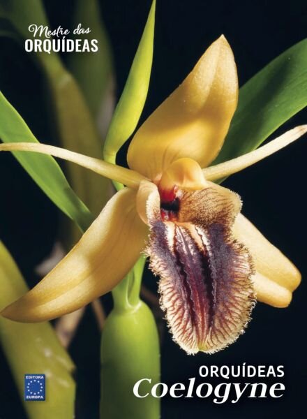 Mestre das Orquideas – Edicao 22 2025 Cover