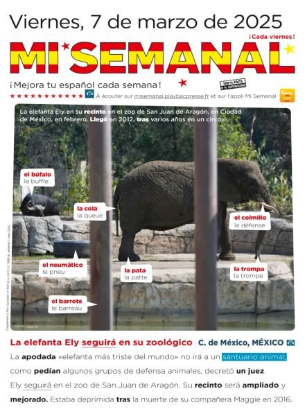 Mi Semanal – 7 Marzo 2025 Cover