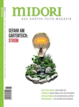 Midori – Marz 2025