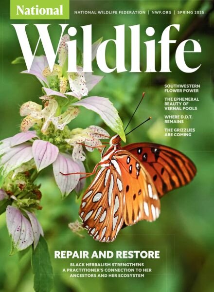 National Wildlife – Spring 2025 Cover