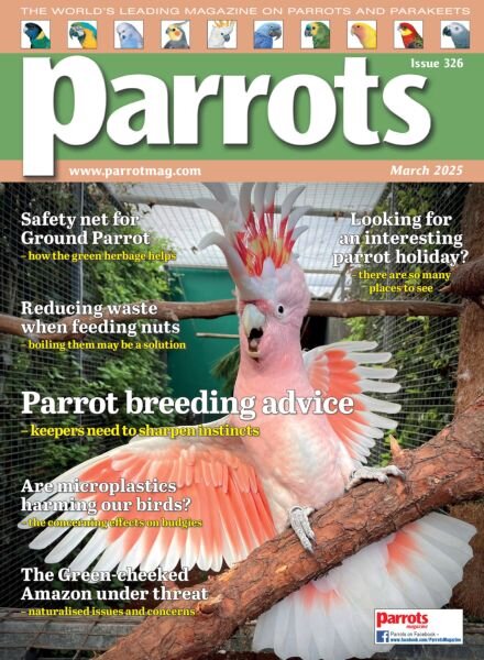 Parrots – March 2025 Cover