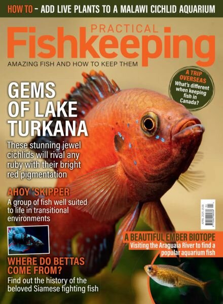 Practical Fishkeeping – April 2025 Cover