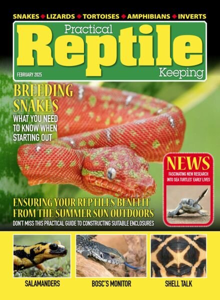 Practical Reptile Keeping – February 2025 Cover