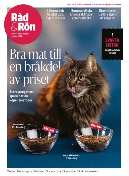 Rad & Ron – Mars 2025 Cover