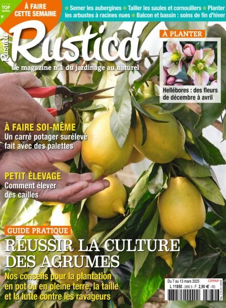 Rustica – 7 Mars 2025 Cover