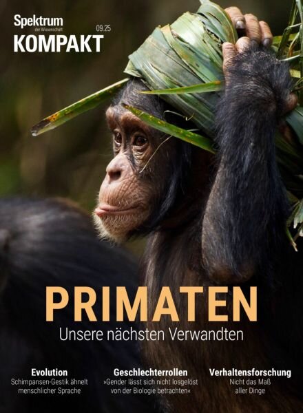 Spektrum Kompakt – 3 Marz 2025 Cover