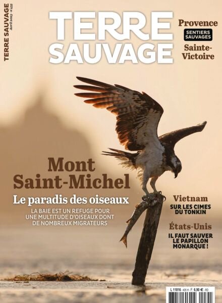 Terre Sauvage – Avril 2025 Cover