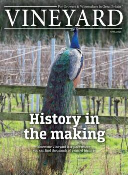 Vineyard – April 2025