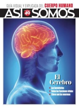 Asi Somos El cuerpo humano – Abril 2025