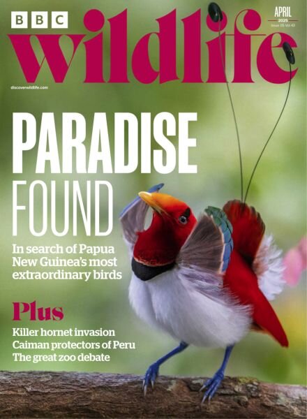 BBC Wildlife – April 2025 Cover