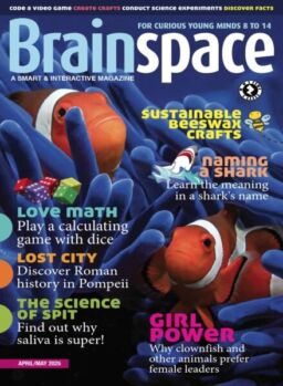Brainspace – April-May 2025