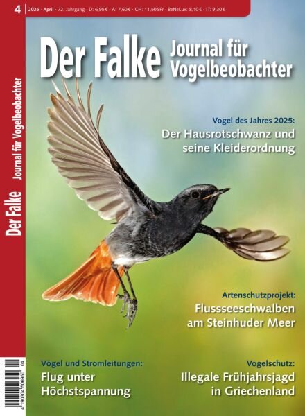 Der Falke Journal fur Vogelbeobachter – April 2025 Cover