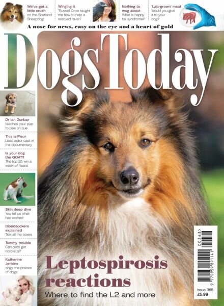Dogs Today UK – Issue 368 2025 Cover
