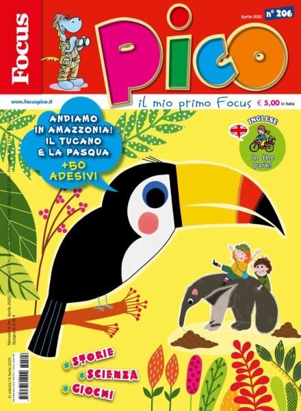 Focus Pico – Aprile 2025 Cover