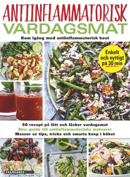 Framgangsguide – 4 April 2025 Cover