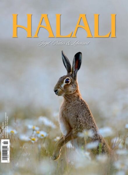 Halali – Mai-Juli 2025 Cover