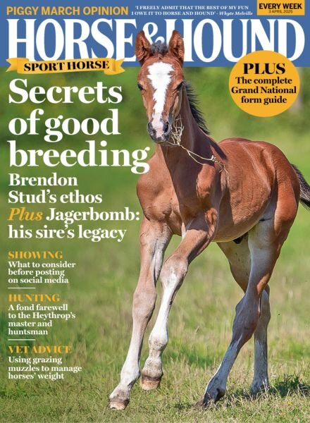 Horse & Hound – 3 April 2025 Cover