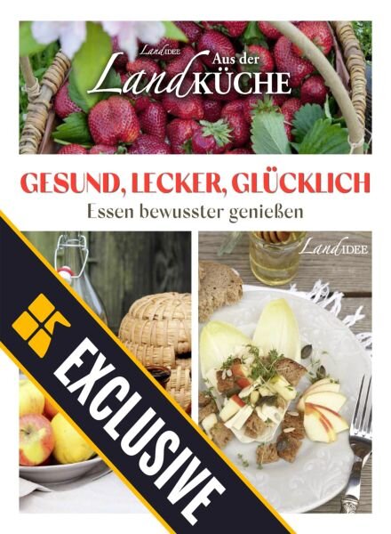 LandIDEE LandKuche – 5 April 2025 Cover