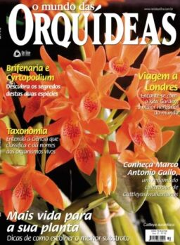 O Mundo das Orquideas – Marco 2025