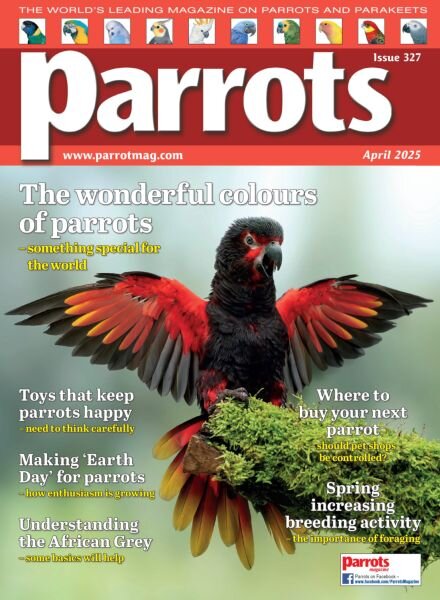 Parrots – April 2025 Cover