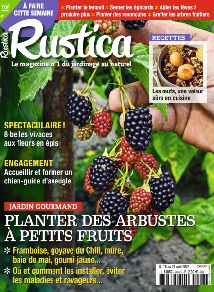 Rustica – 18 Avril 2025 Cover