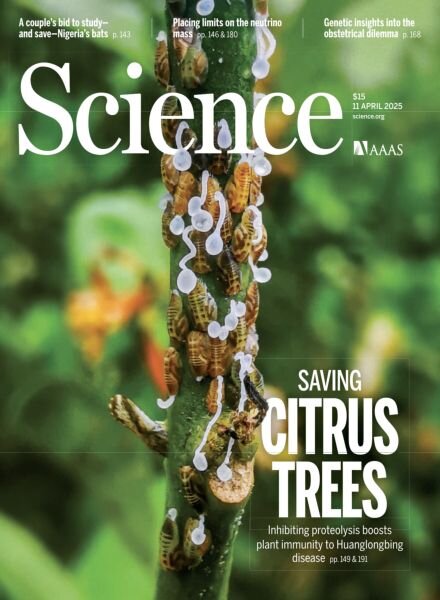 Science – 11 April 2025 Cover