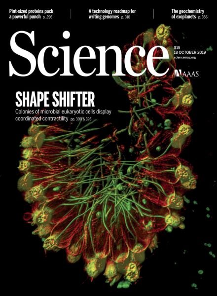 Science – 18 October 2019 Cover