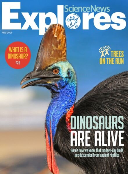 Science News Explores – May 2025 Cover