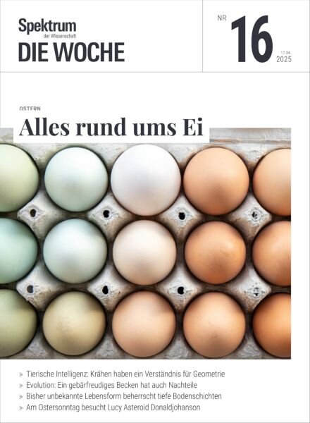 Spektrum Die Woche – 17 April 2025 Cover