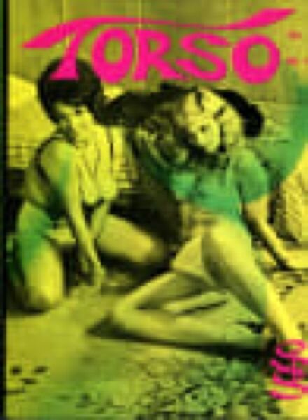 Torso – N 1 Cover