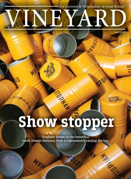 Vineyard – May 2025 Cover