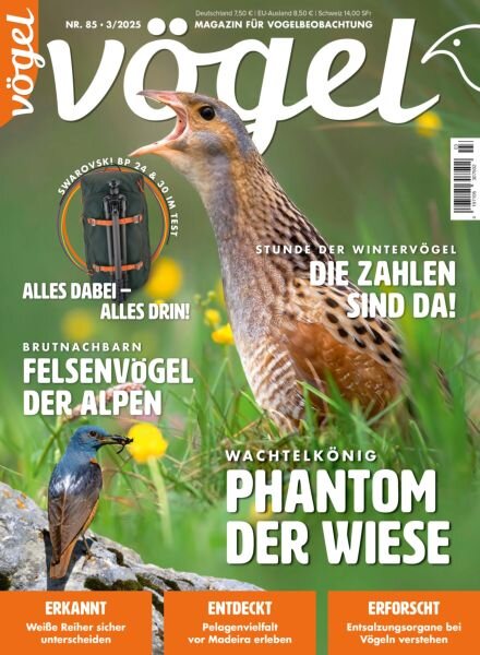 Vogel Magazin – April 2025 Cover