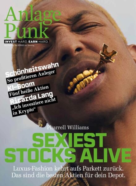 AnlagePunk – Mai 2025 Cover