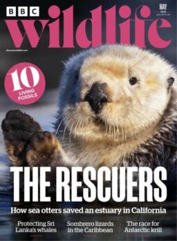 BBC Wildlife – May 2025
