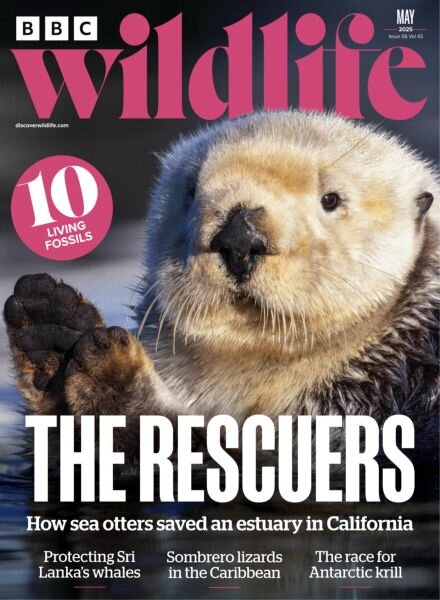 BBC Wildlife – May 2025 Cover